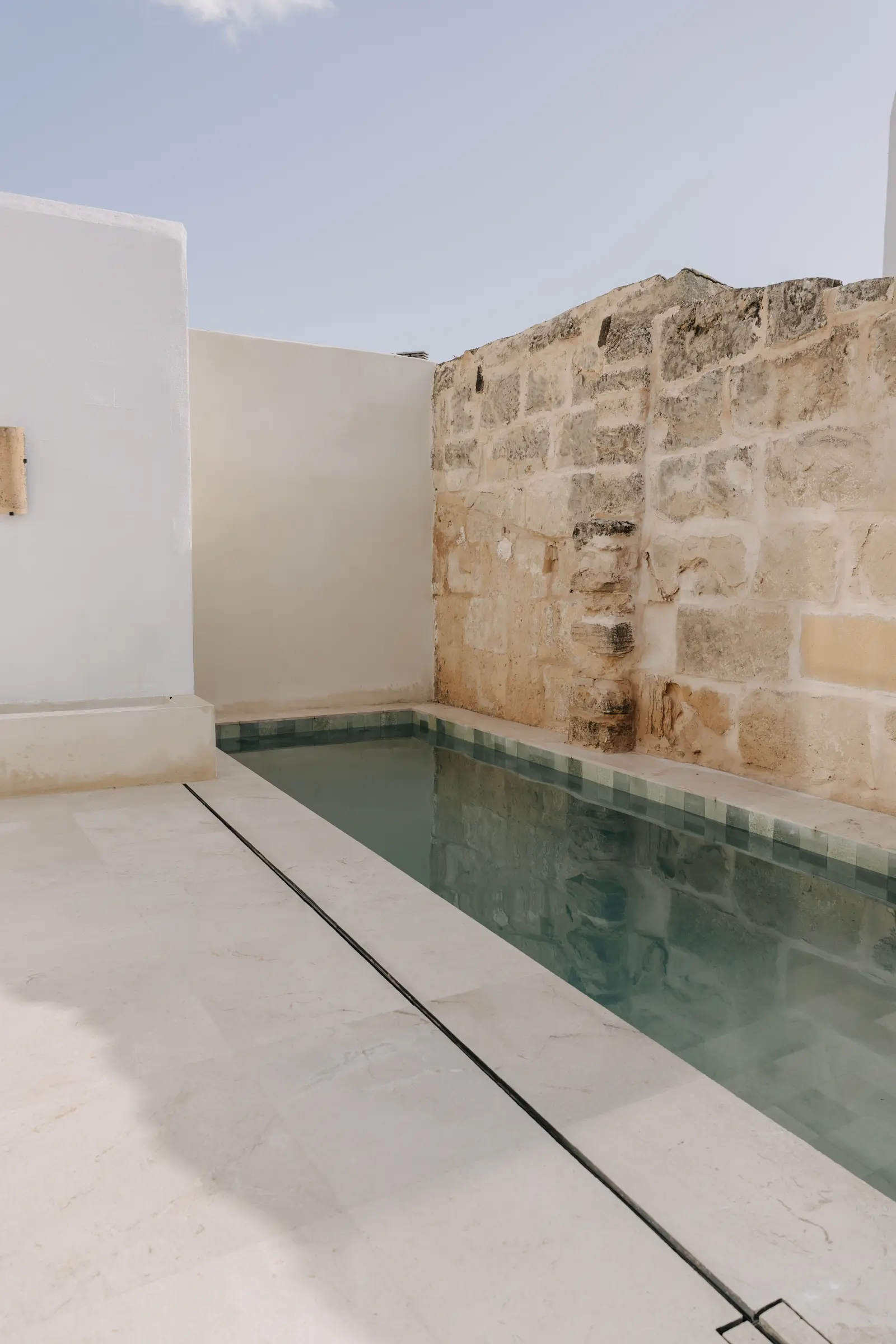 Palmera 26
